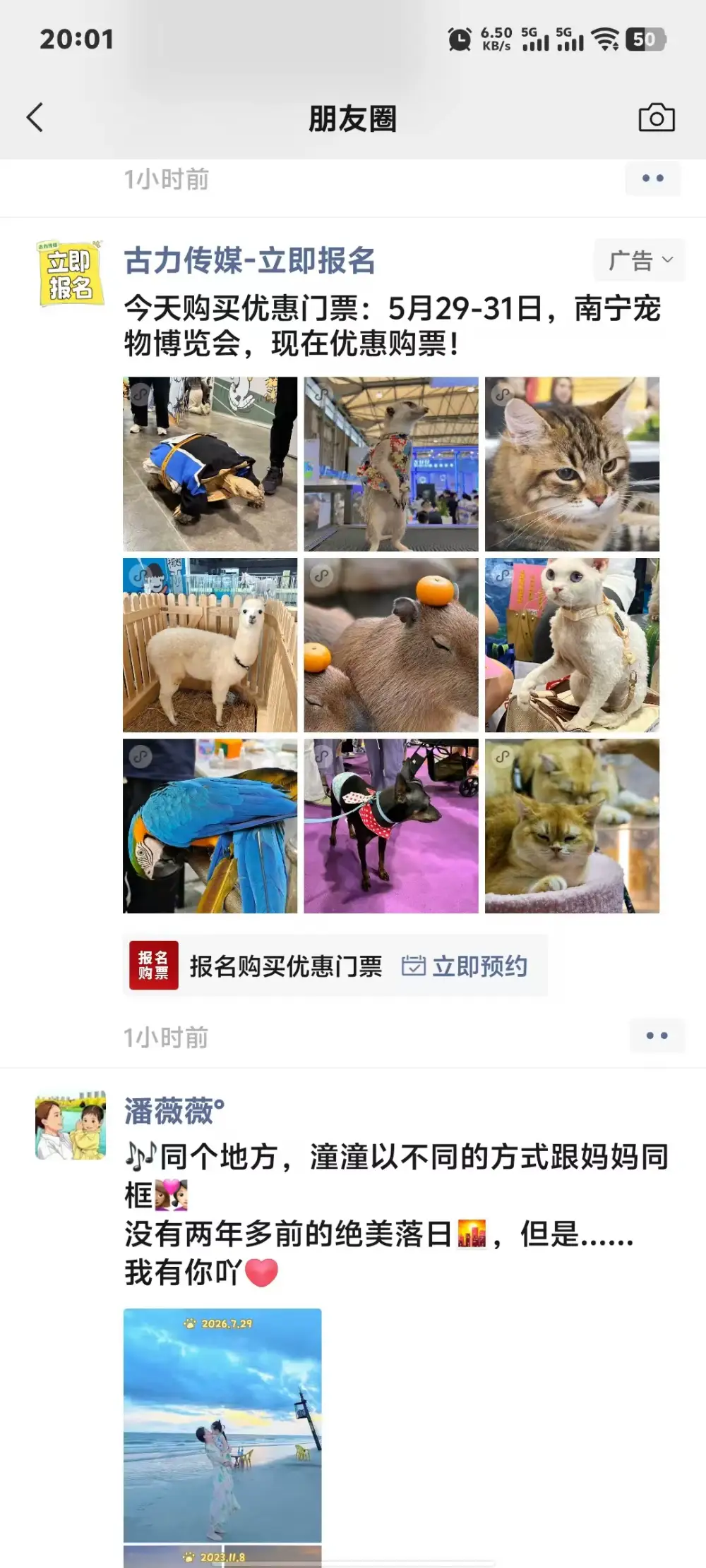 WeChat Moments ticket promotion for the Nanning Pet Expo
